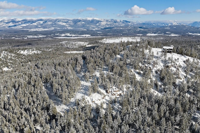 85 Meadows Dr, Whitefish, MT 59937 - snowy aerial view with a mountain view and a view of trees