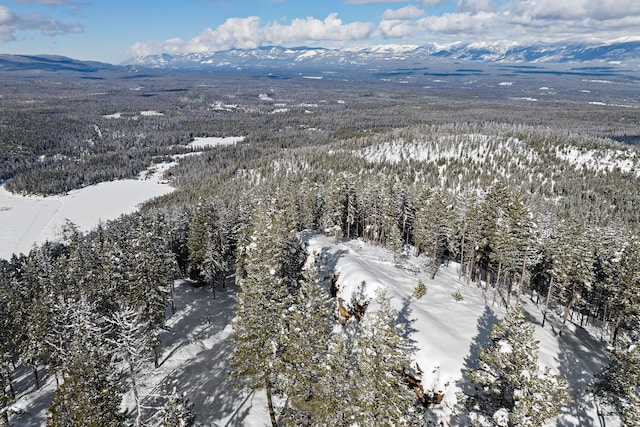 85 Meadows Dr, Whitefish, MT 59937 - snowy aerial view with a mountain view and a forest view