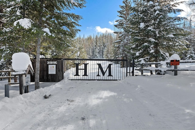 85 Meadows Dr, Whitefish, MT 59937 - view of snow covered gate