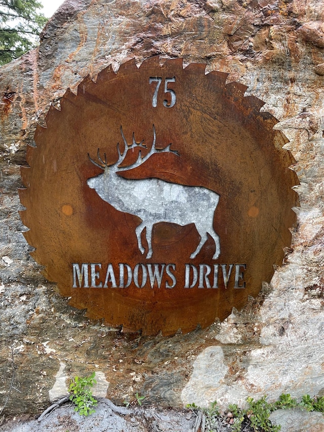 85 Meadows Dr, Whitefish, MT 59937 - exterior view