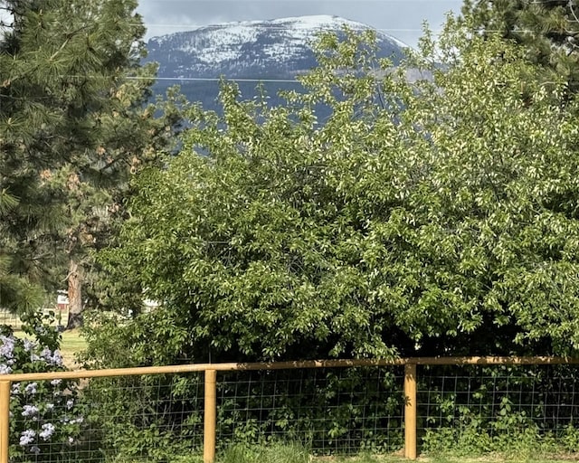 369 Gold Ct, Florence, MT 59833 - mountain view