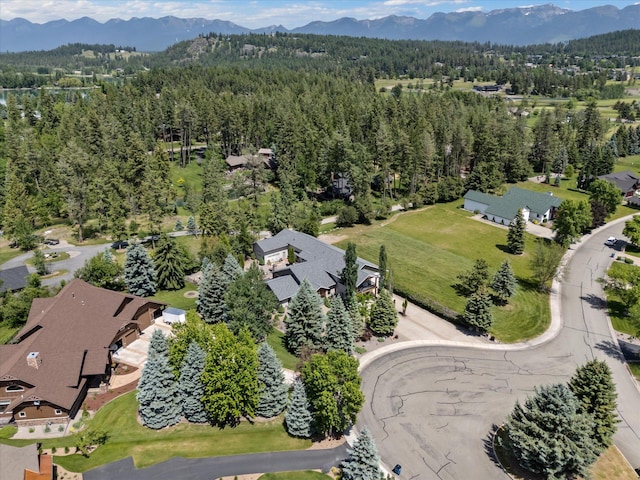 229AND231 Harbor Dr, Bigfork, MT 59911 - aerial view of mountains