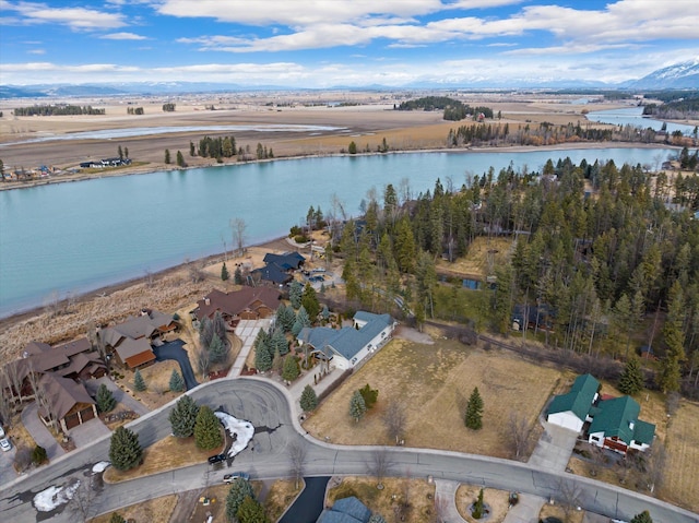 229AND231 Harbor Dr, Bigfork, MT 59911 - aerial view of property's location with a water and mountain view