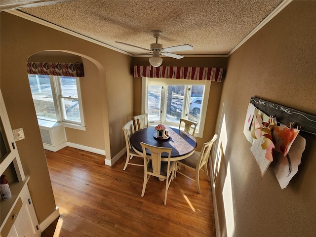 3301 1st Ave N, Great Falls, MT 59401 - dining room featuring ornamental molding, healthy amount of natural light, wood finished floors, a textured ceiling, and a ceiling fan