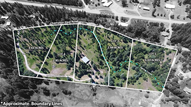 137 Fallen Bear Ln, Libby, MT 59923