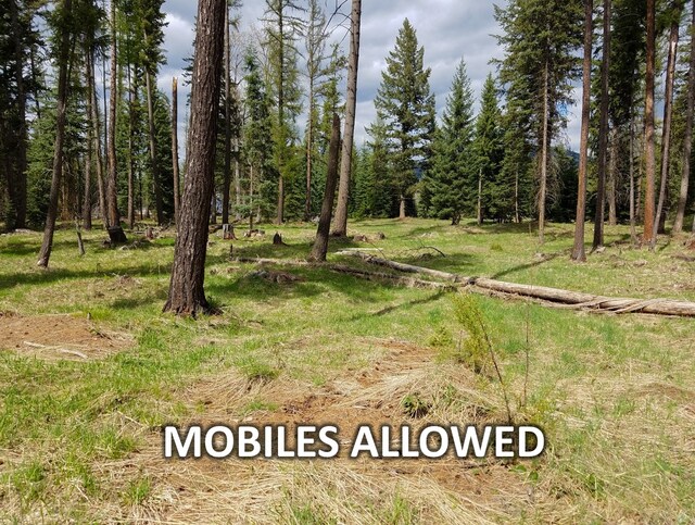 137 Fallen Bear Ln, Libby, MT 59923