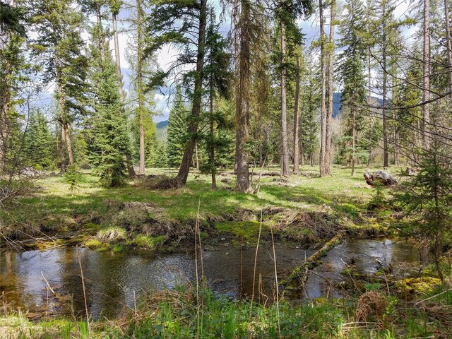 137 Fallen Bear Ln, Libby, MT 59923