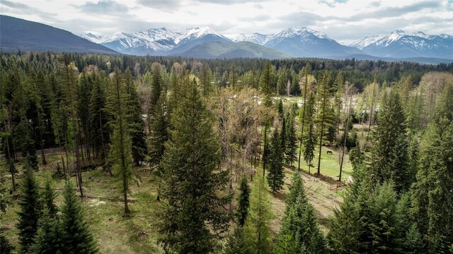 137 Fallen Bear Ln, Libby, MT 59923