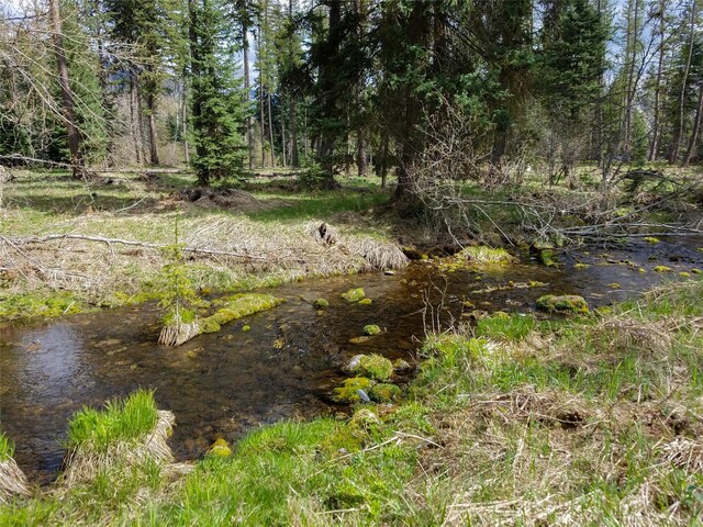 137 Fallen Bear Ln, Libby, MT 59923