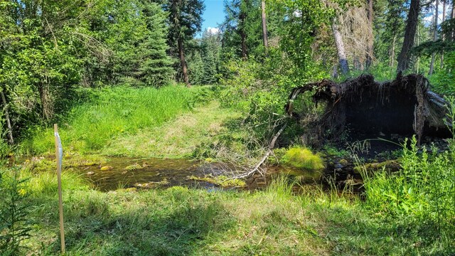 137 Fallen Bear Ln, Libby, MT 59923