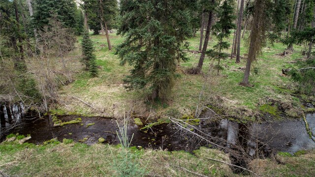 137 Fallen Bear Ln, Libby, MT 59923