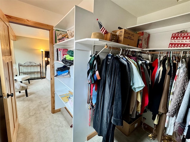19066 King Rd, Florence, MT 59833 - spacious closet with carpet floors