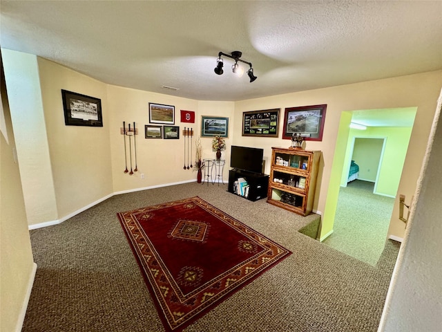 19066 King Rd, Florence, MT 59833 - living room with baseboards, carpet, and a textured ceiling