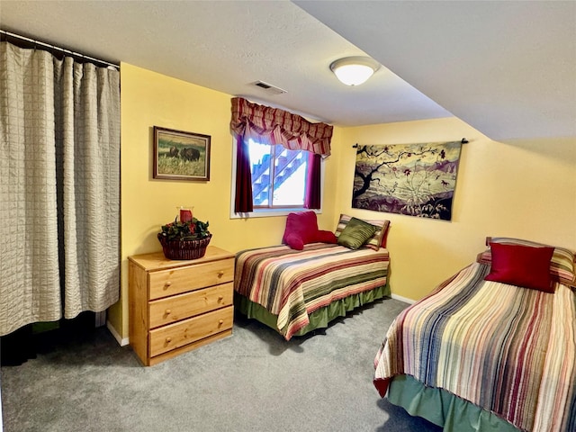 19066 King Rd, Florence, MT 59833 - carpeted bedroom featuring baseboards, a textured ceiling, and visible vents