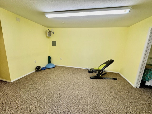 19066 King Rd, Florence, MT 59833 - workout area featuring baseboards, carpet, and a textured ceiling