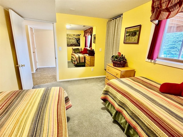 19066 King Rd, Florence, MT 59833 - bedroom with carpet flooring and baseboards