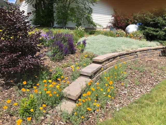 19066 King Rd, Florence, MT 59833 - view of yard