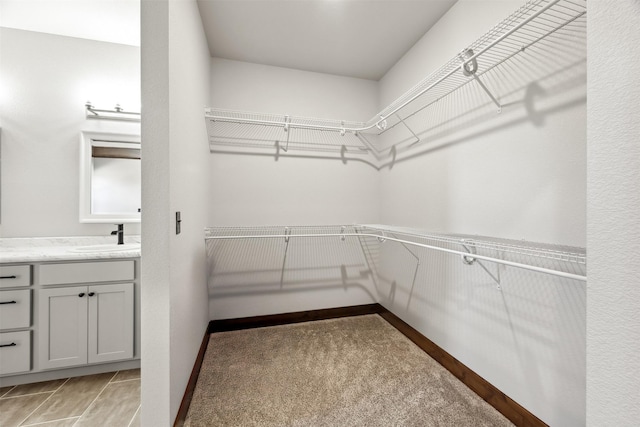 376 Cowboy Ct, Florence, MT 59833 - walk in closet with a sink and light carpet