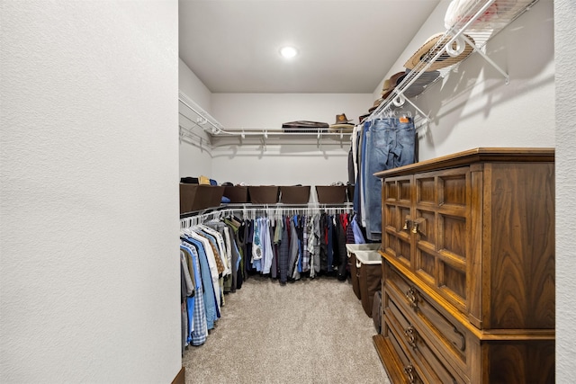 376 Cowboy Ct, Florence, MT 59833 - spacious closet featuring carpet