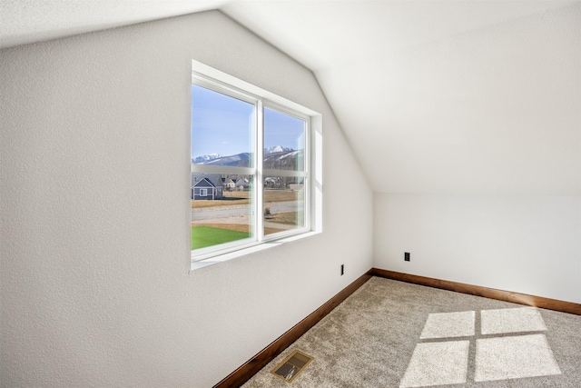 376 Cowboy Ct, Florence, MT 59833 - bonus room featuring lofted ceiling and carpet