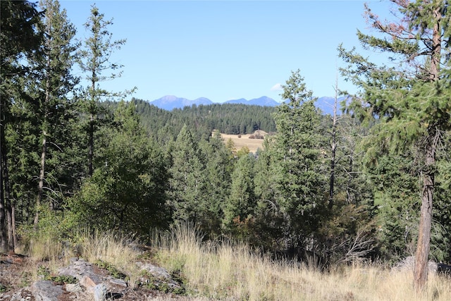 175 Aerie Pl, Bigfork, MT 59911