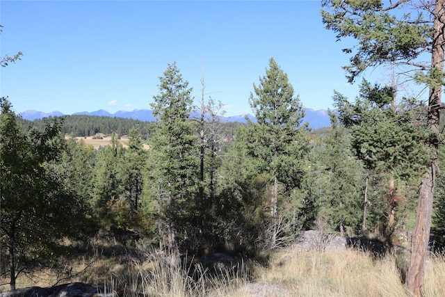 175 Aerie Pl, Bigfork, MT 59911