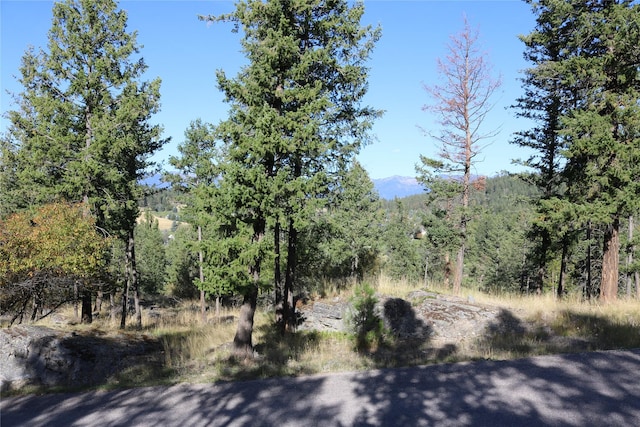 175 Aerie Pl, Bigfork, MT 59911