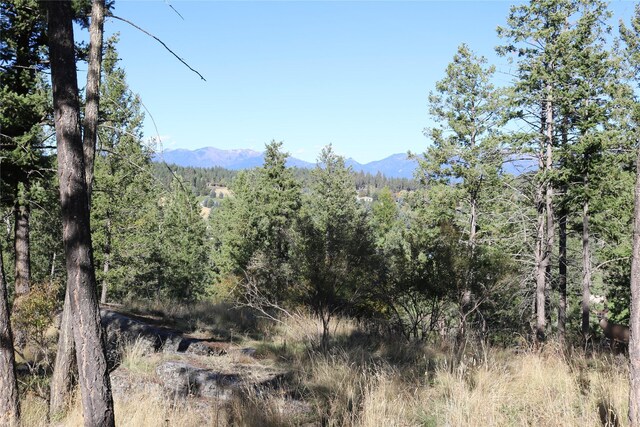 175 Aerie Pl, Bigfork, MT 59911