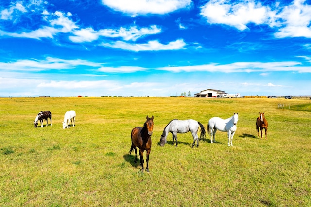 view of yard with a rural view