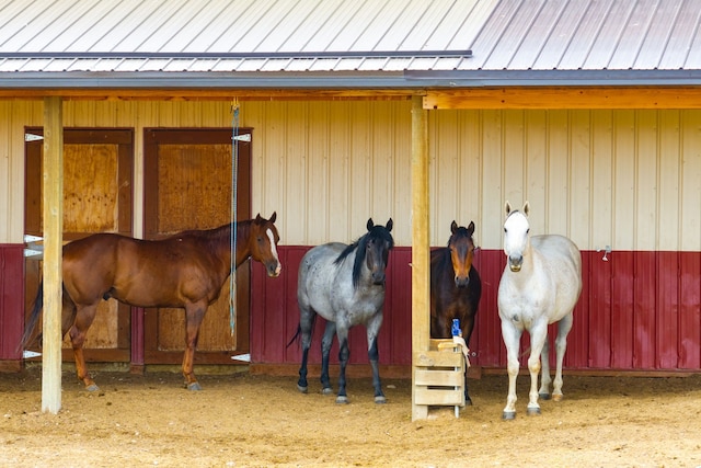 view of stable