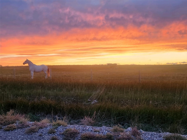view of nature with a rural view