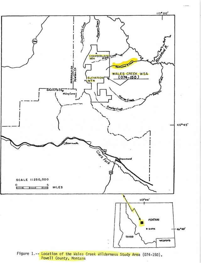 NHN Wales Creek Rd, Helmville, MT 59843