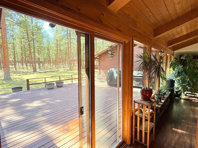 675 Bobcat Ln, Hamilton, MT 59840 - doorway to outside with wood walls, wood ceiling, wood finished floors, and beamed ceiling