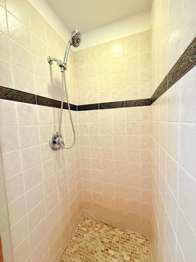 675 Bobcat Ln, Hamilton, MT 59840 - full bath featuring a tile shower