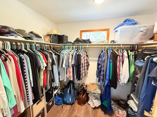 675 Bobcat Ln, Hamilton, MT 59840 - walk in closet featuring wood finished floors