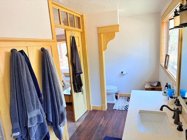 675 Bobcat Ln, Hamilton, MT 59840 - bathroom with baseboards, vanity, toilet, and wood finished floors