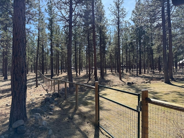 675 Bobcat Ln, Hamilton, MT 59840 - view of yard featuring fence and a gate