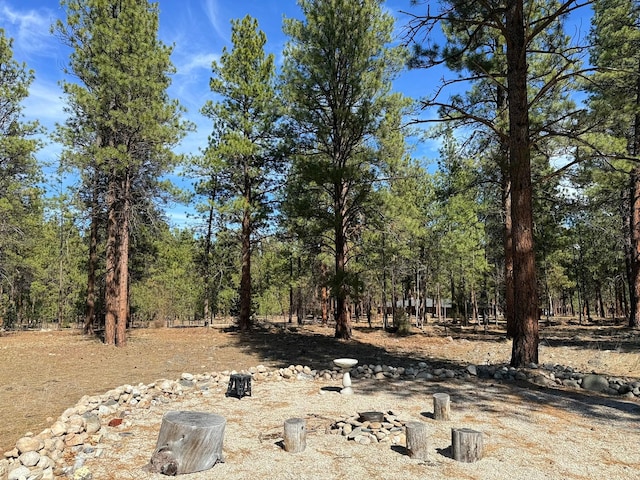 675 Bobcat Ln, Hamilton, MT 59840 - view of landscape featuring a forest view