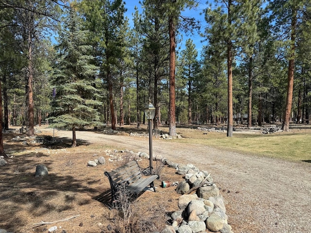 675 Bobcat Ln, Hamilton, MT 59840 - view of yard featuring a view of trees