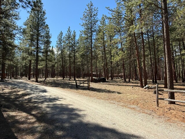 675 Bobcat Ln, Hamilton, MT 59840 - view of road featuring a forest view
