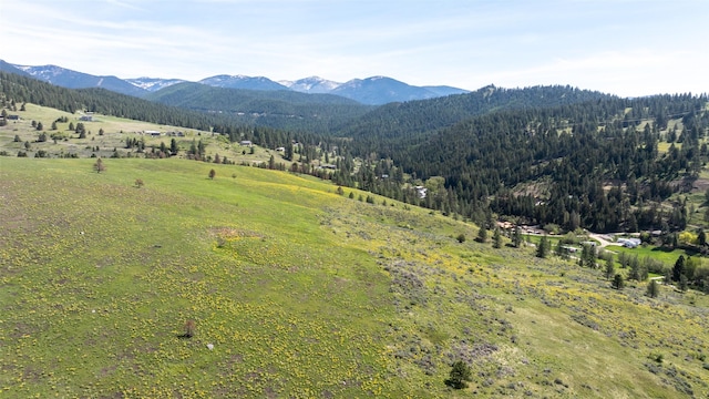 NHN Butler Creek Rd, Missoula, MT 59808