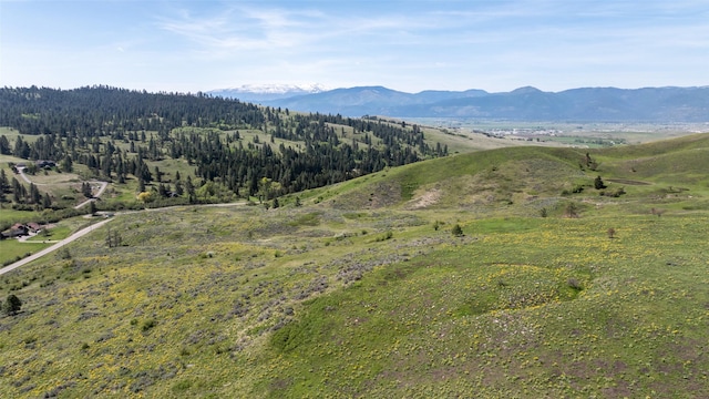 NHN Butler Creek Rd, Missoula, MT 59808