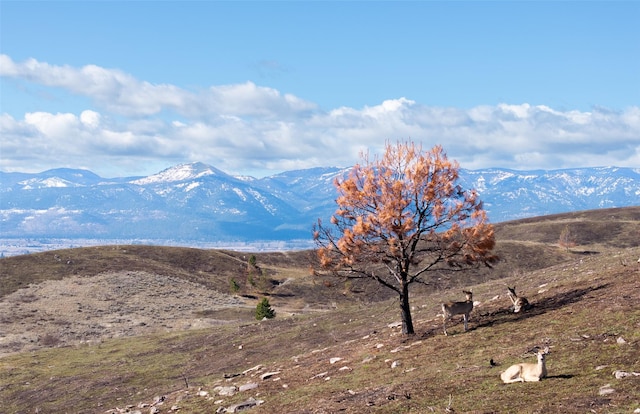 NHN Butler Creek Rd, Missoula, MT 59808