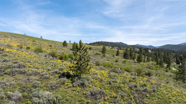 NHN Butler Creek Rd, Missoula, MT 59808