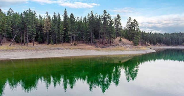 280 Cowgirl Cv, Eureka, MT 59917 - water view with a view of trees