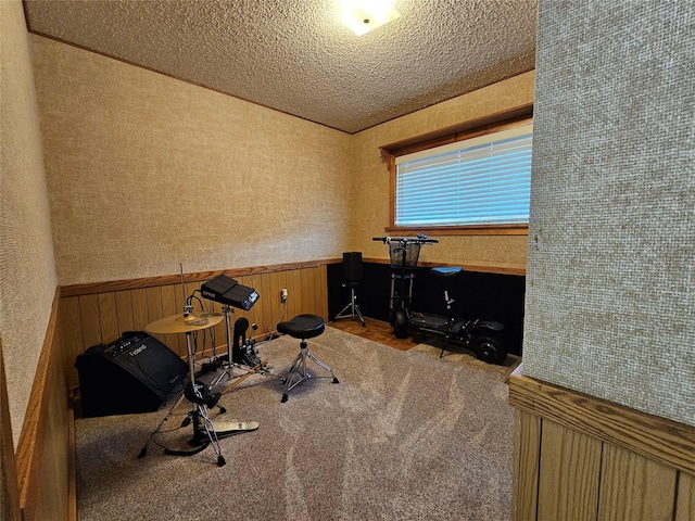 308 Dakota Ave, Libby, MT 59923 - home office with carpet floors, a textured ceiling, wooden walls, and wainscoting