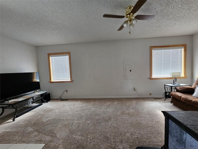308 Dakota Ave, Libby, MT 59923 - living room with carpet flooring, a healthy amount of sunlight, electric panel, and a ceiling fan