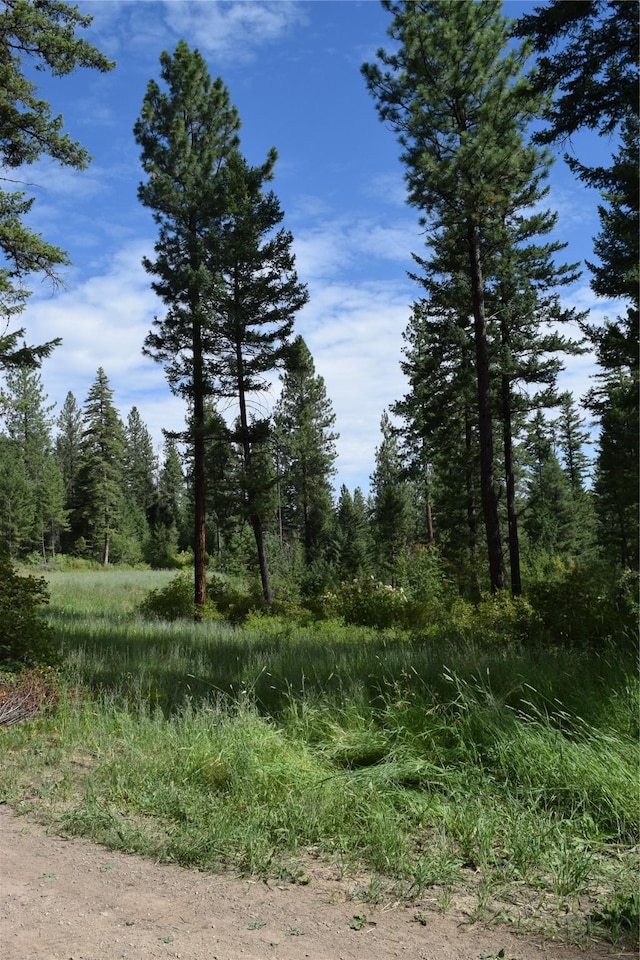 73487 Arlee Pines Dr, Arlee, MT 59821