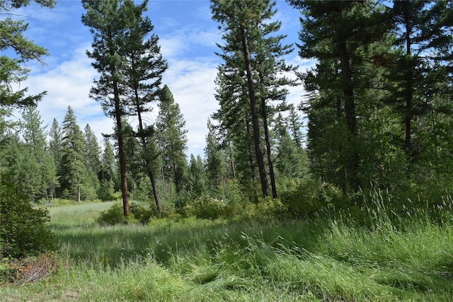 73487 Arlee Pines Dr, Arlee, MT 59821