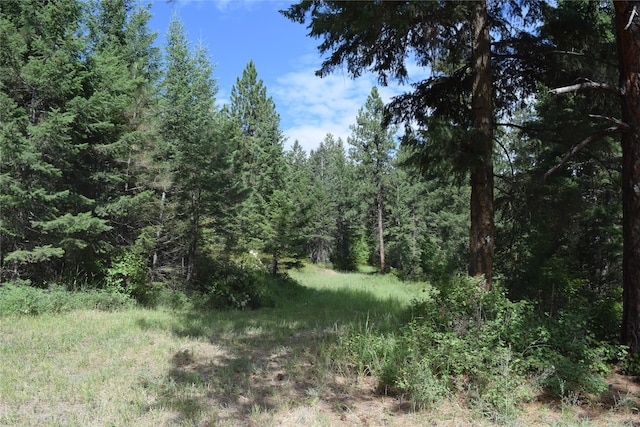 73487 Arlee Pines Dr, Arlee, MT 59821